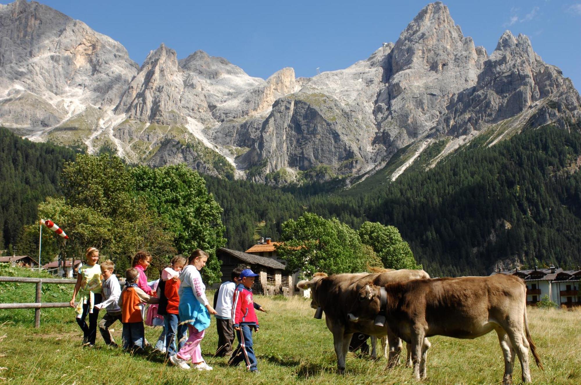 Sporting Aparthotel San Martino Di Castrozza Extérieur photo